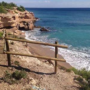 https://bonito-bajo-con-aceso-directo-a-la-playa-pinar-de-la-cala.catalonia-hotels.com
